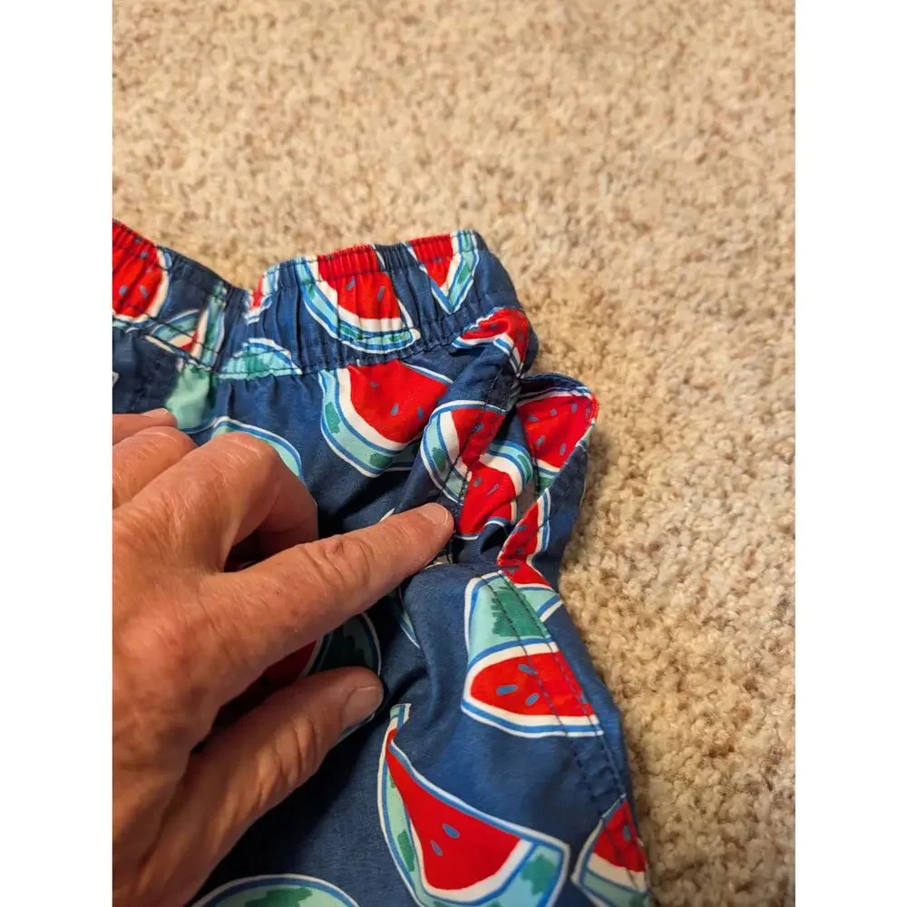 Hanna Andersson Boys Blue Watermelon Print Swim Trunks Mesh Lined Shorts Size 4